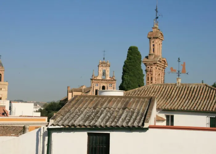 Atico Con Encanto